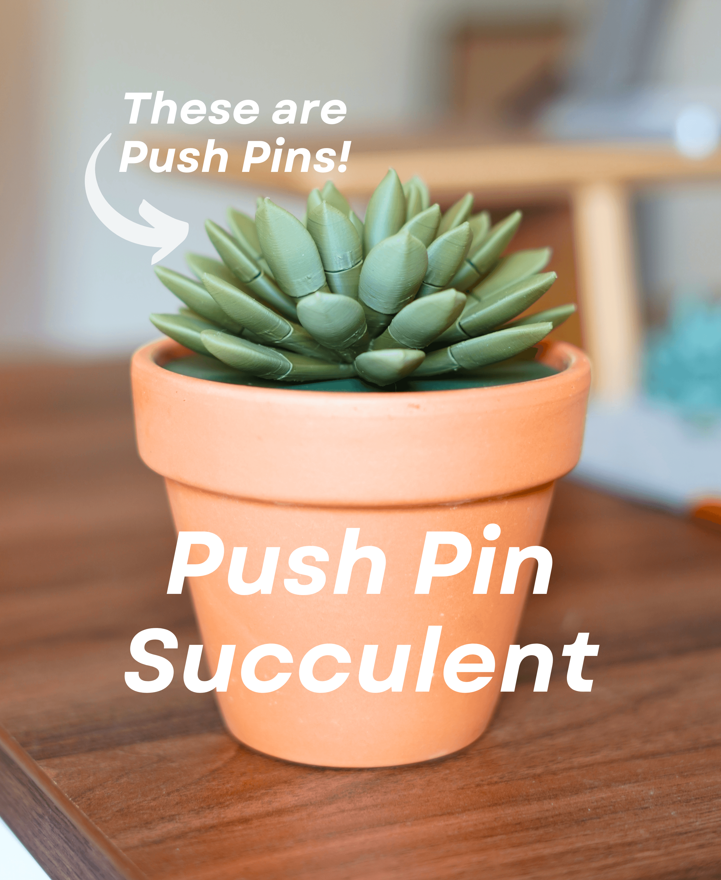 Push Pin Succulent 3d model