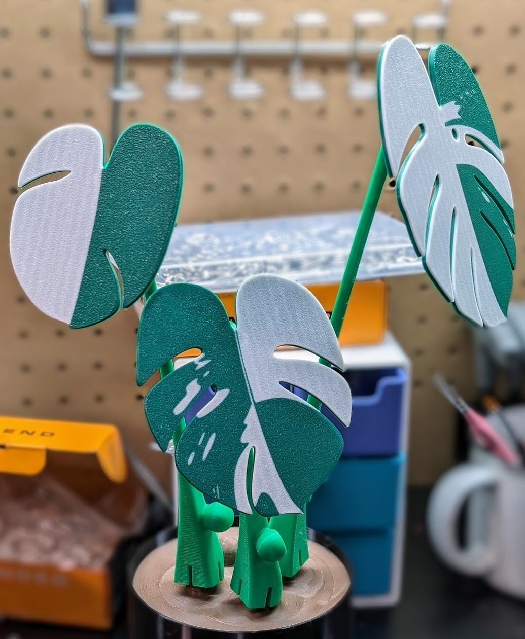 Monstera Coaster Set - I ended up changing the monstera albo white parts to a modifer and used it for the leaf instead as the provided way didn't work very well. This way I can also make the tops nice and flat! - 3d model